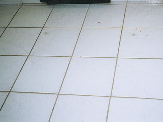 Tile and Grout Cleaning Palm Beach & Broward County